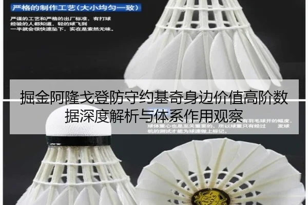 掘金阿隆戈登防守约基奇身边价值高阶数据深度解析与体系作用观察